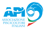 API